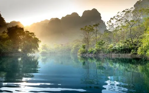 科技高端